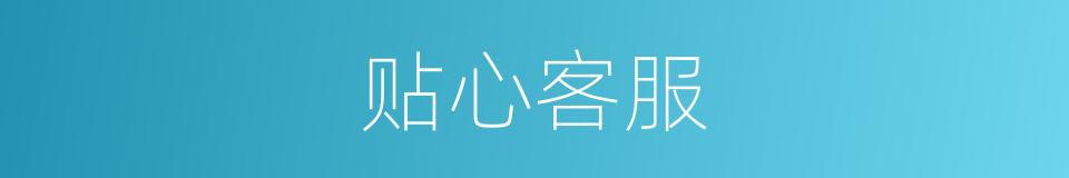 贴心客服的同义词