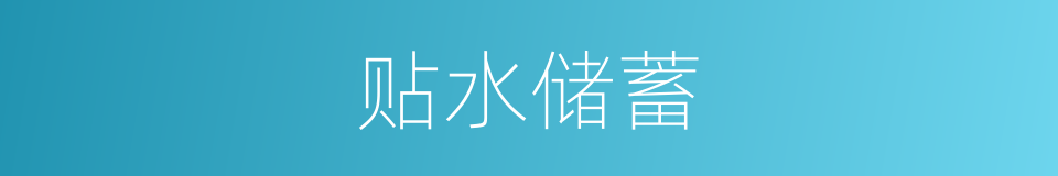 贴水储蓄的同义词