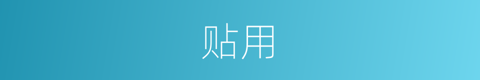 贴用的意思