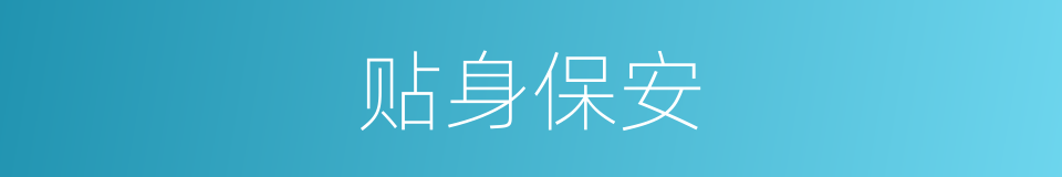 贴身保安的同义词