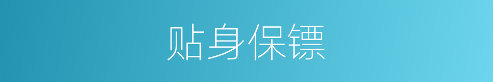 贴身保镖的同义词
