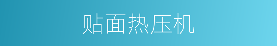 贴面热压机的同义词