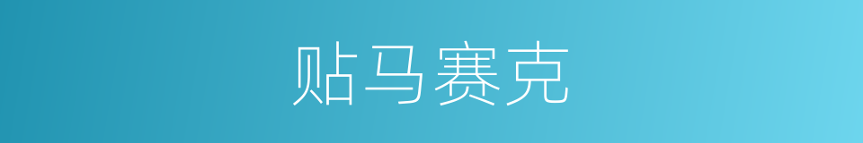 贴马赛克的同义词