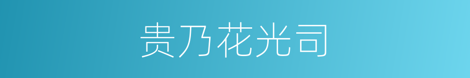 贵乃花光司的同义词
