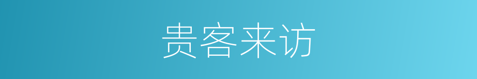 贵客来访的同义词