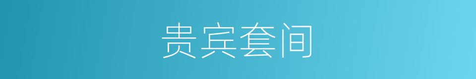 贵宾套间的同义词