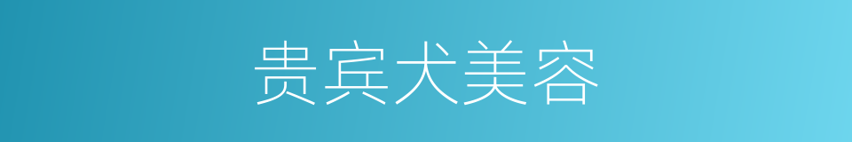贵宾犬美容的同义词