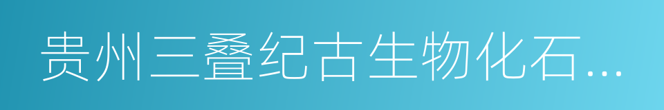 贵州三叠纪古生物化石探秘的同义词