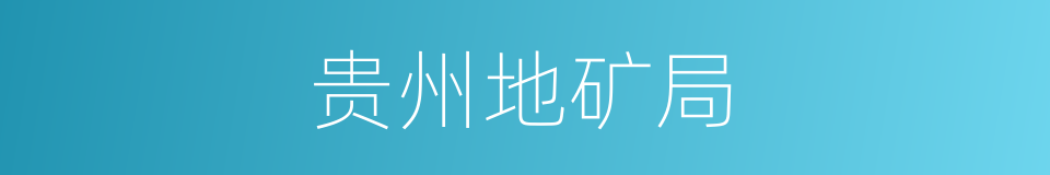 贵州地矿局的同义词