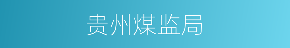 贵州煤监局的同义词