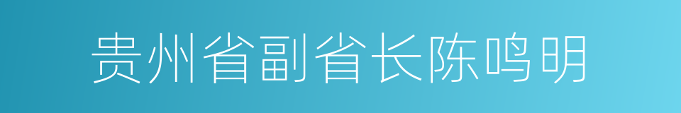 贵州省副省长陈鸣明的同义词