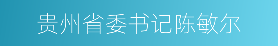 贵州省委书记陈敏尔的同义词