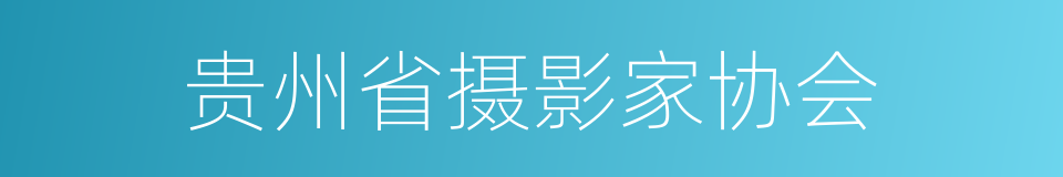 贵州省摄影家协会的同义词