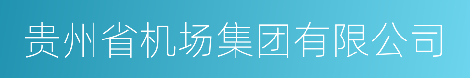 贵州省机场集团有限公司的同义词