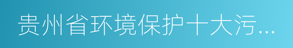 贵州省环境保护十大污染源治理工程实施方案的同义词