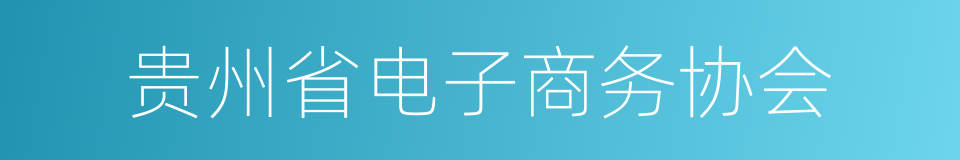 贵州省电子商务协会的同义词