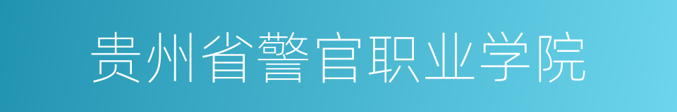 贵州省警官职业学院的同义词