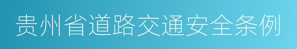 贵州省道路交通安全条例的同义词