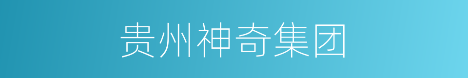 贵州神奇集团的同义词