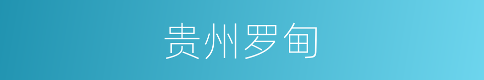 贵州罗甸的同义词