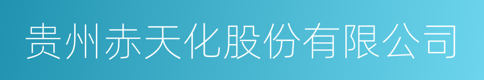 贵州赤天化股份有限公司的同义词