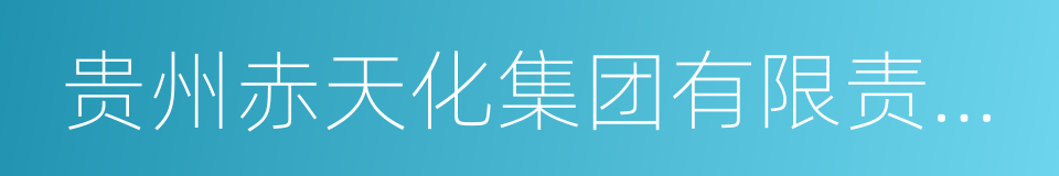 贵州赤天化集团有限责任公司的同义词