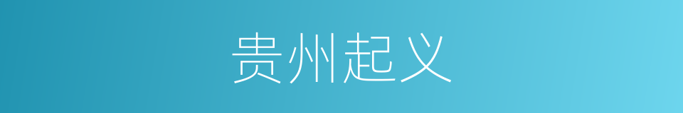 贵州起义的同义词