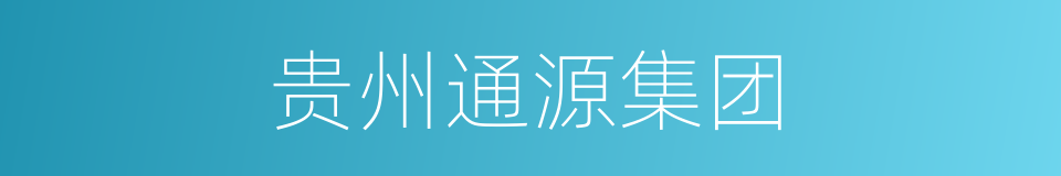 贵州通源集团的同义词