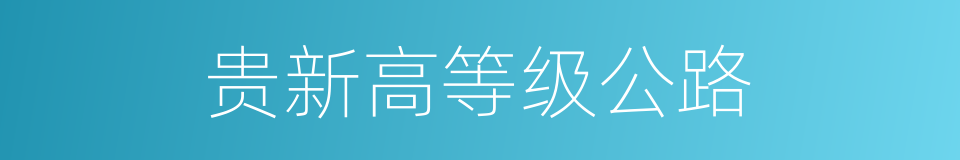 贵新高等级公路的同义词