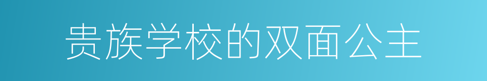 贵族学校的双面公主的同义词