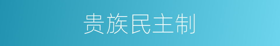 贵族民主制的同义词