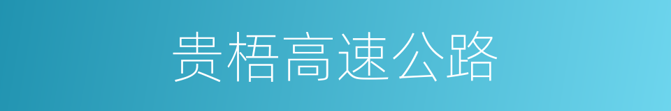 贵梧高速公路的同义词