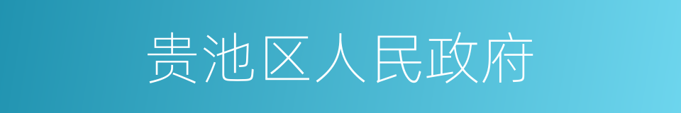 贵池区人民政府的同义词