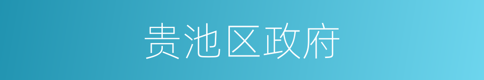 贵池区政府的同义词