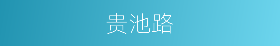 贵池路的同义词