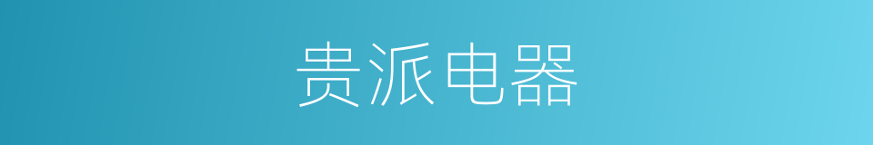 贵派电器的同义词
