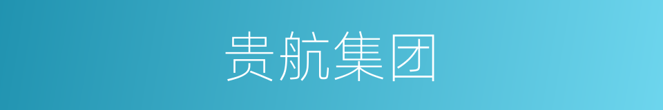 贵航集团的同义词