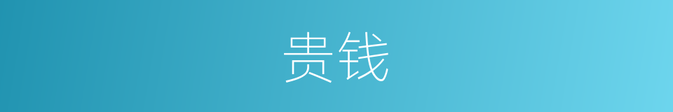 贵钱的同义词