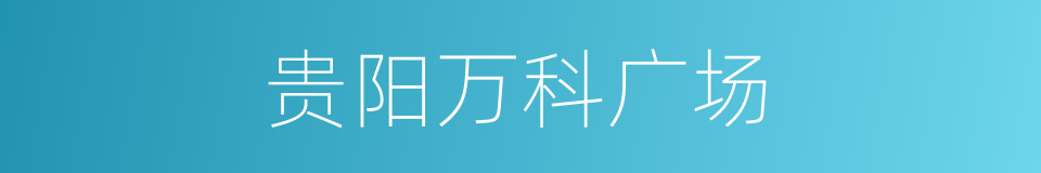 贵阳万科广场的同义词
