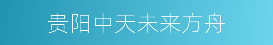 贵阳中天未来方舟的同义词