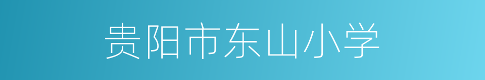 贵阳市东山小学的同义词