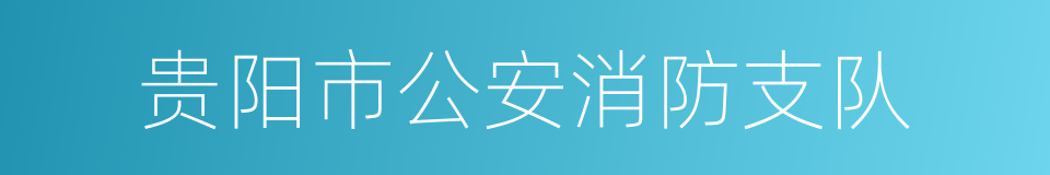 贵阳市公安消防支队的同义词