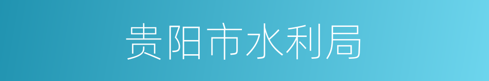 贵阳市水利局的同义词
