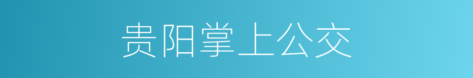 贵阳掌上公交的同义词