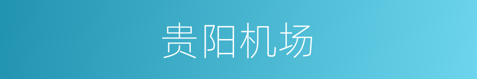 贵阳机场的同义词