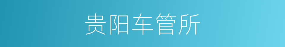 贵阳车管所的同义词