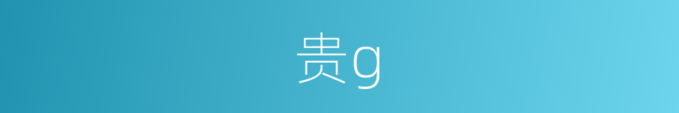 贵g的同义词