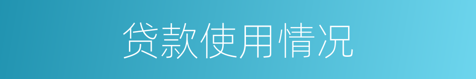 贷款使用情况的同义词