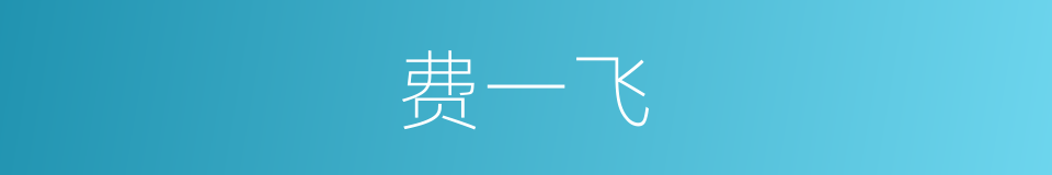 费一飞的同义词