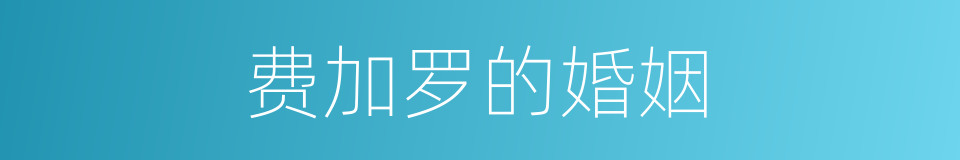 费加罗的婚姻的意思